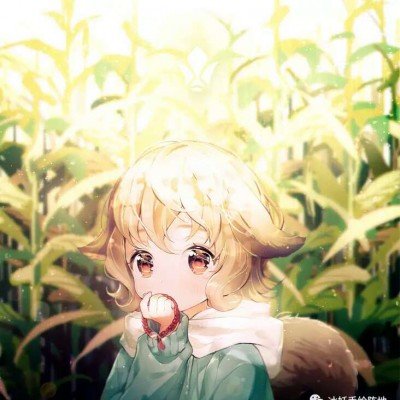 ​梁惠玲分别会见俄罗斯滨海边区州长科热米亚科、犹太自治州州长戈尔德施坦因和阿穆尔州州长奥尔洛夫